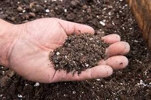Fertilized soil in the palm of a man's hand