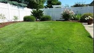 Back yard freshly mowed lawn with mulch and bushes along the fence